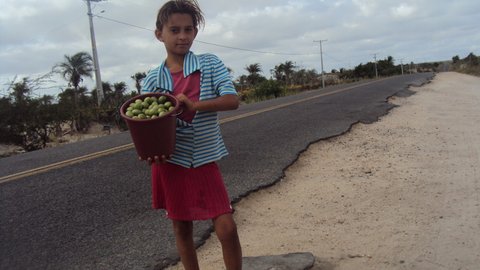 Menina vende umbu nas estradas em busca de alguns trocados para a família. Foto: Liliana Peixinho.