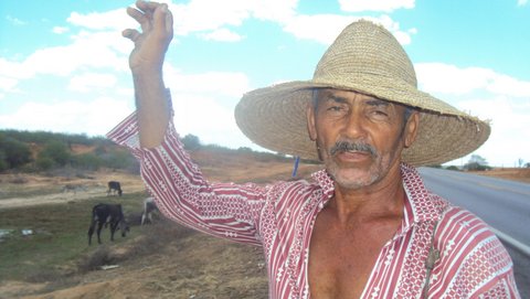 Seu Elísio, na estrada, guia as poucas cabeças de gado que resistiram à estiagem. Foto: Liliana Peixinho.